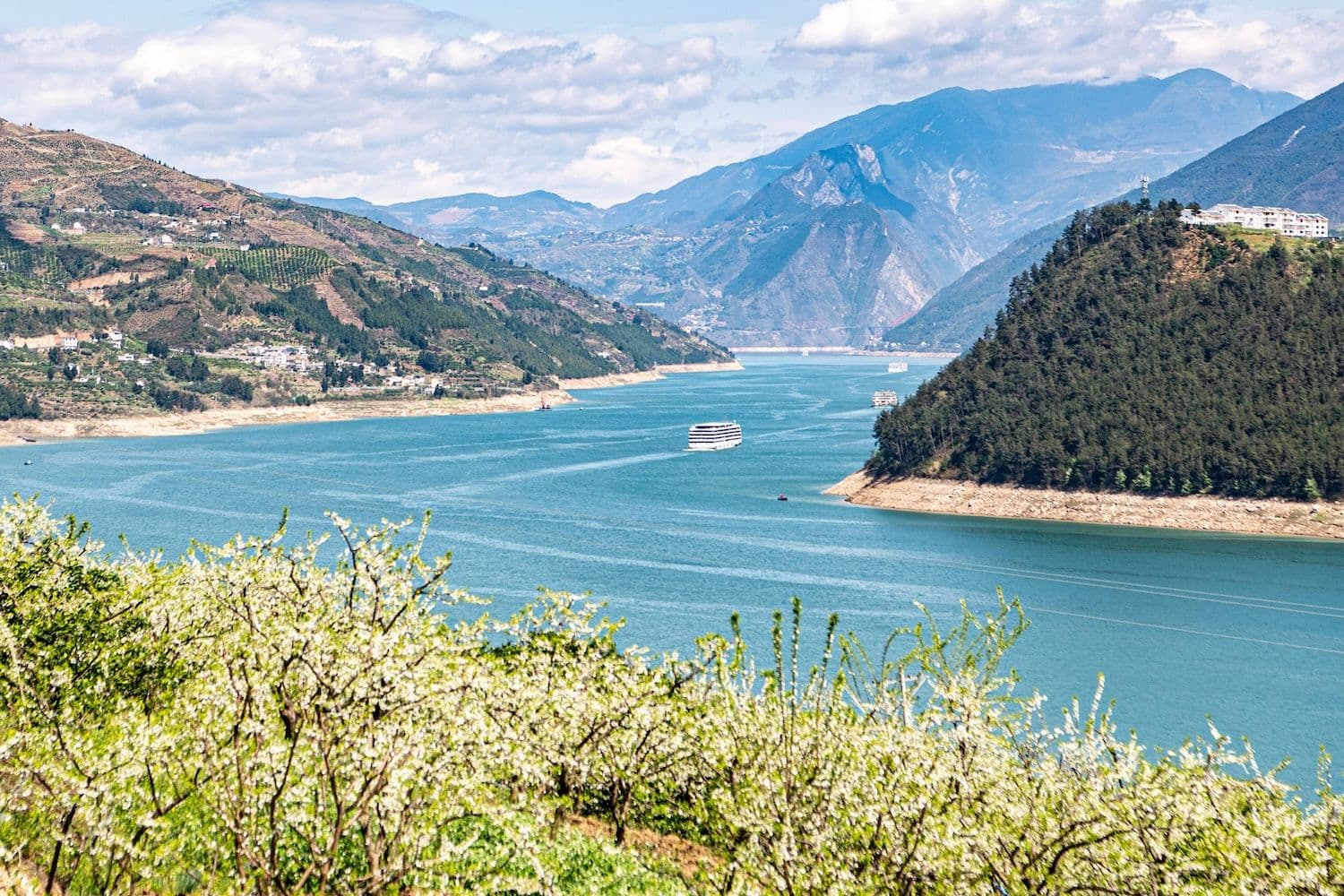 Dieses Foto vom 25. März 2024 zeigt Pflaumenblüten am Ufer des Jangtse in der Gemeinde Quchi im Bezirk Wushan im Südwesten Chinas in der Stadt Chongqing