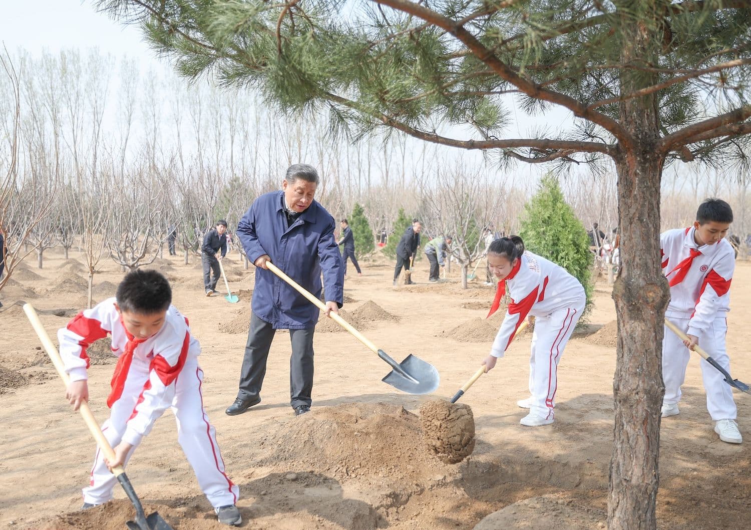 China Umwelt, China Politik, China Wald, China Klimawandel: Chinas Präsident Xi Jinping pflanzt einen Baum während einer freiwilligen Baumpflanzaktion in einem Waldpark im Bezirk Tongzhou