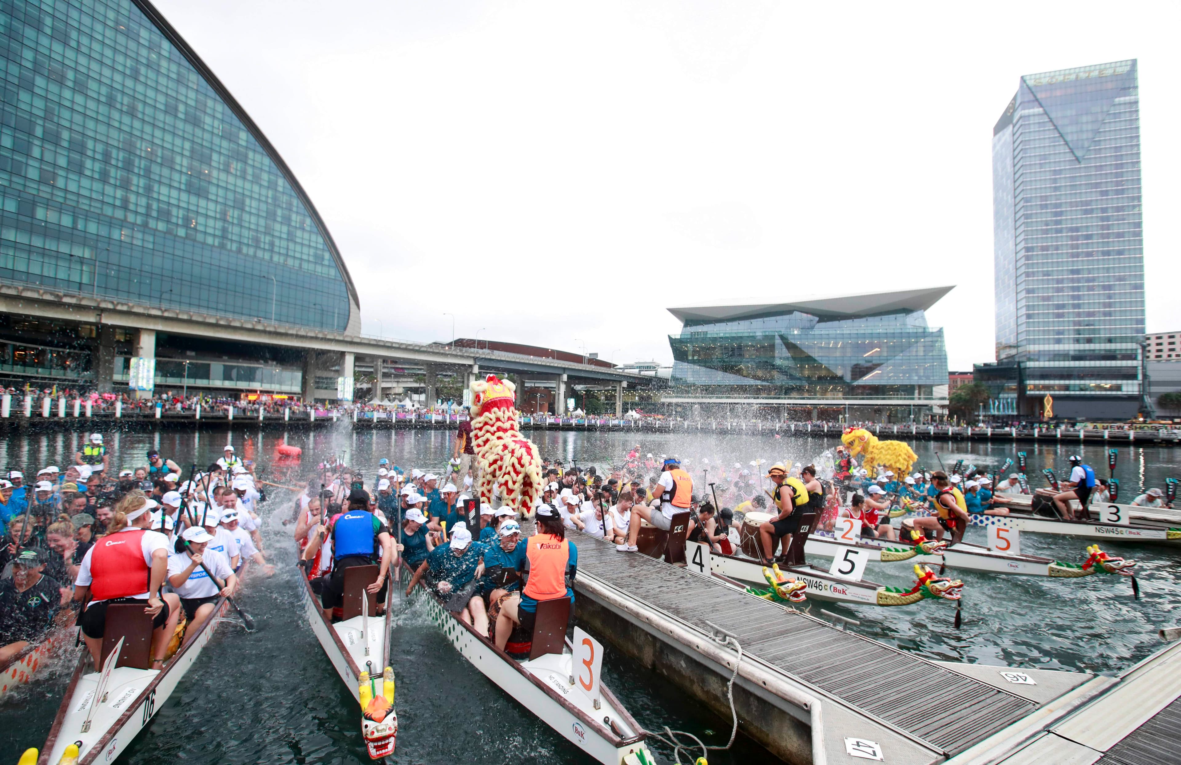 Lion dance performers interact with participants during the opening ceremony of the Sydney Lunar New Year Dragon Boat Festival 2024