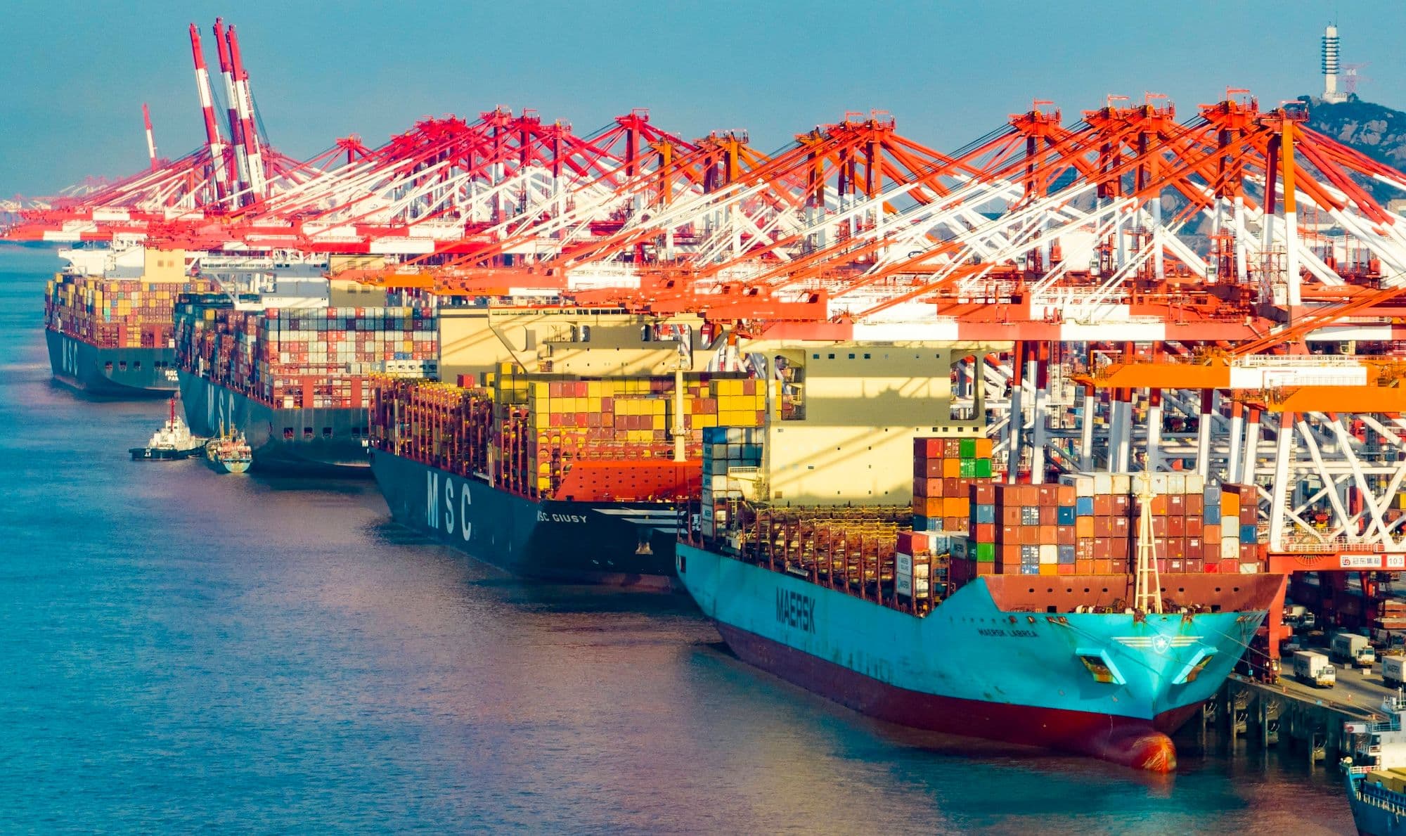 Yangshan Deepwater Port Area of Shanghai Port Ein automatisiertes Terminal ist im Yangshan Deep Water Port Area of Shanghai Port in Betrieb
